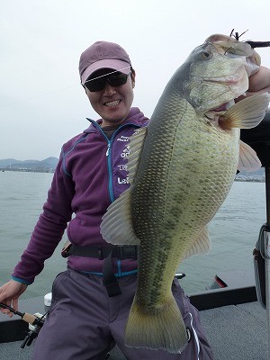 truth news ブログ写真 2012/04/14