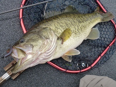 truth news ブログ写真 2012/04/14