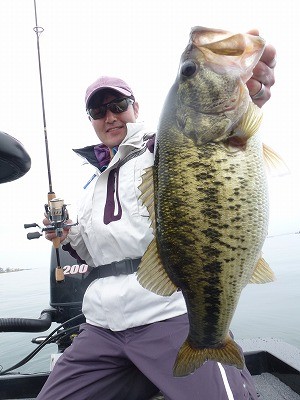 truth news ブログ写真 2012/04/14