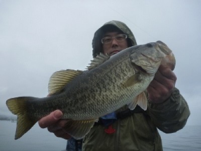 truth news ブログ写真 2012/04/14