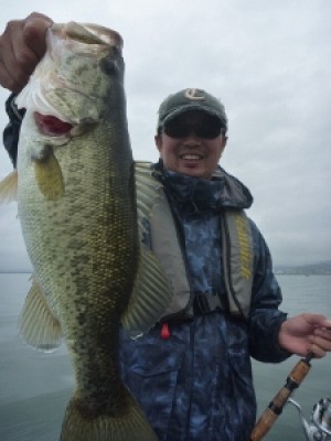 truth news ブログ写真 2012/04/14