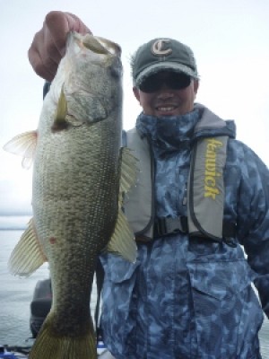 truth news ブログ写真 2012/04/14