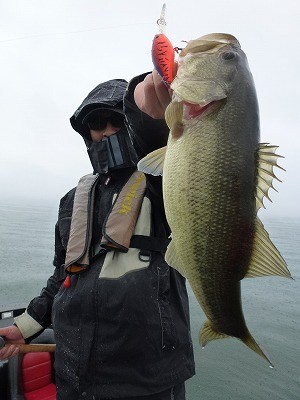 truth news ブログ写真 2012/04/16