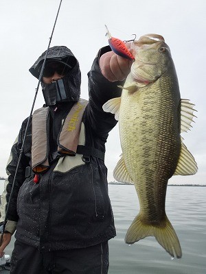 truth news ブログ写真 2012/04/16