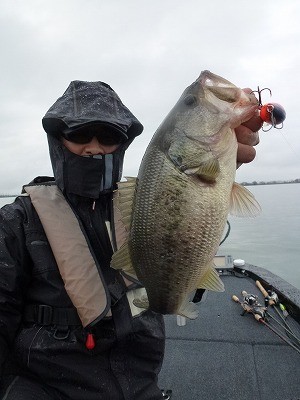 truth news ブログ写真 2012/04/16