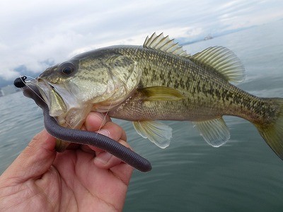 truth news ブログ写真 2012/04/16