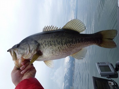 truth news ブログ写真 2012/04/16