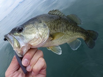 truth news ブログ写真 2012/04/16