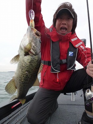 truth news ブログ写真 2012/04/16