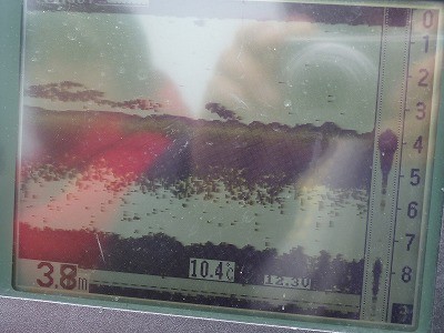 truth news ブログ写真 2012/04/16