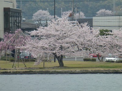 truth news ブログ写真 2012/04/16