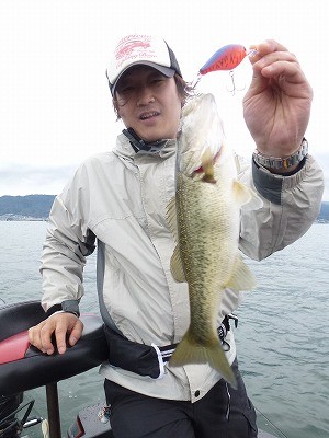 truth news ブログ写真 2012/04/16