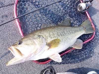 truth news ブログ写真 2012/04/17