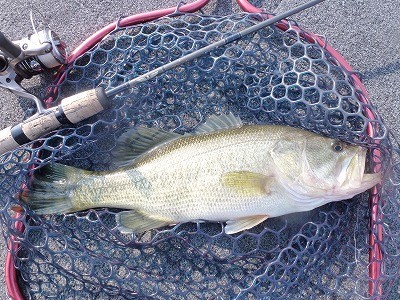 truth news ブログ写真 2012/04/17