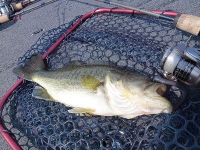 truth news ブログ写真 2012/04/17