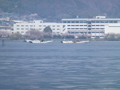 truth news ブログ写真 2012/04/17