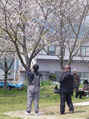 truth news ブログ写真 2012/04/17