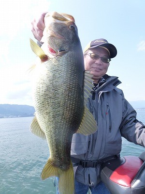 truth news ブログ写真 2012/04/17