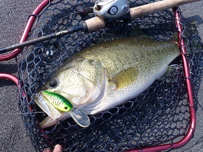 truth news ブログ写真 2012/04/17