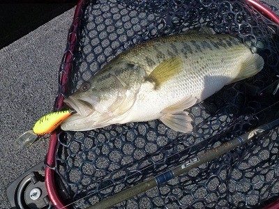 truth news ブログ写真 2012/04/18