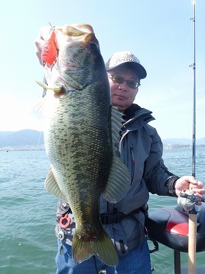 truth news ブログ写真 2012/04/18