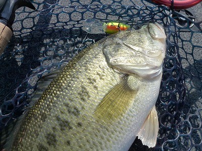 truth news ブログ写真 2012/04/18