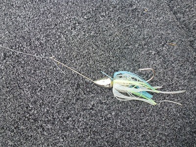 truth news ブログ写真 2012/04/22