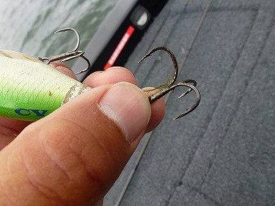 truth news ブログ写真 2012/04/22