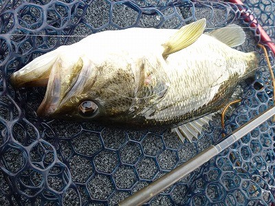 truth news ブログ写真 2012/04/22