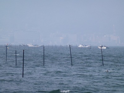 truth news ブログ写真 2012/04/25