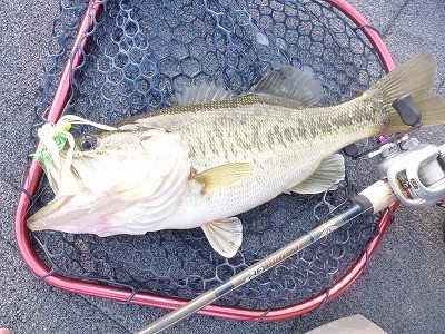 truth news ブログ写真 2012/04/25