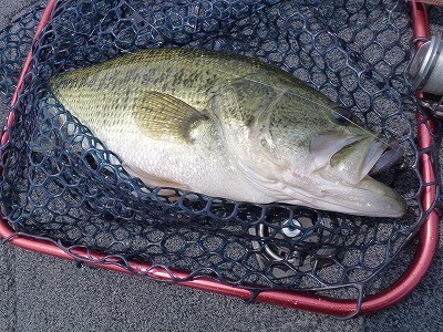 truth news ブログ写真 2012/04/25