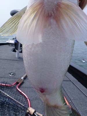 truth news ブログ写真 2012/04/25