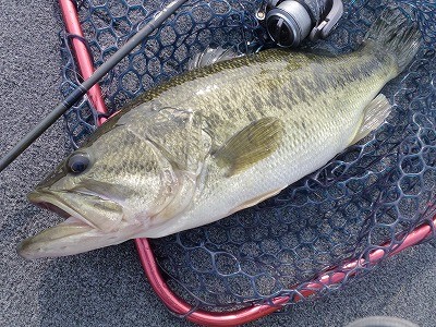 truth news ブログ写真 2012/04/25