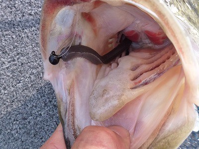 truth news ブログ写真 2012/04/25