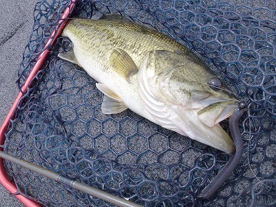 truth news ブログ写真 2012/04/25