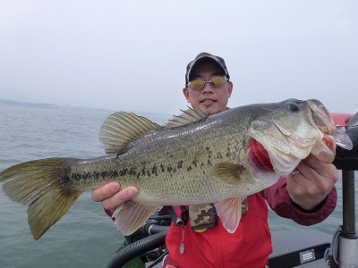 truth news ブログ写真 2012/04/25