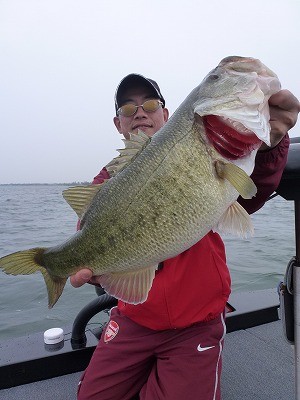 truth news ブログ写真 2012/04/25