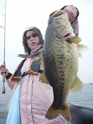 truth news ブログ写真 2012/04/27