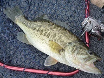 truth news ブログ写真 2012/04/27