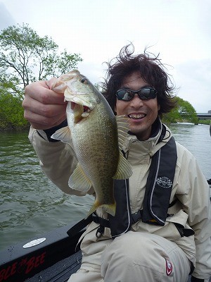 truth news ブログ写真 2012/04/27