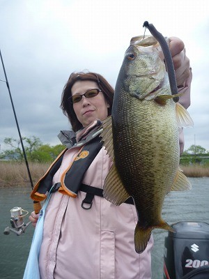 truth news ブログ写真 2012/04/27