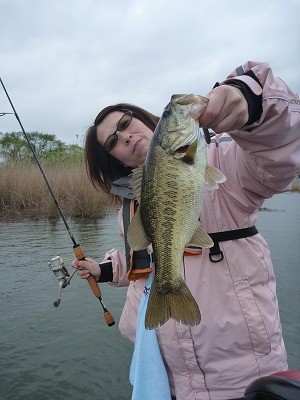 truth news ブログ写真 2012/04/27