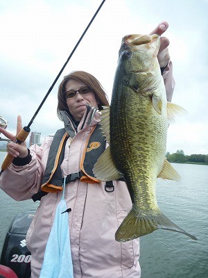 truth news ブログ写真 2012/04/27