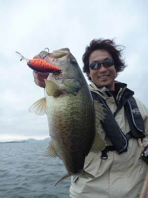 truth news ブログ写真 2012/04/27