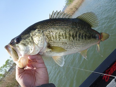 truth news ブログ写真 2012/04/28