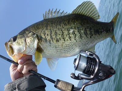 truth news ブログ写真 2012/04/28