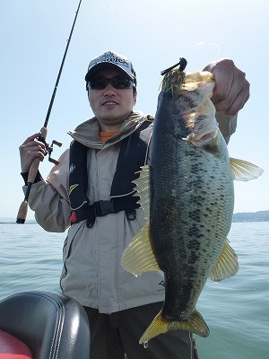 truth news ブログ写真 2012/04/28