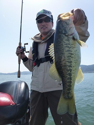 truth news ブログ写真 2012/04/28