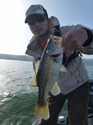 truth news ブログ写真 2012/04/28